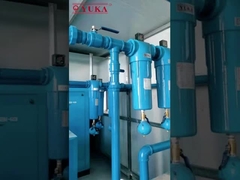 6000-8000 Hours Element Serve Life Compressed Air Filter with Low Pressure Loss of 0.25 Bar
